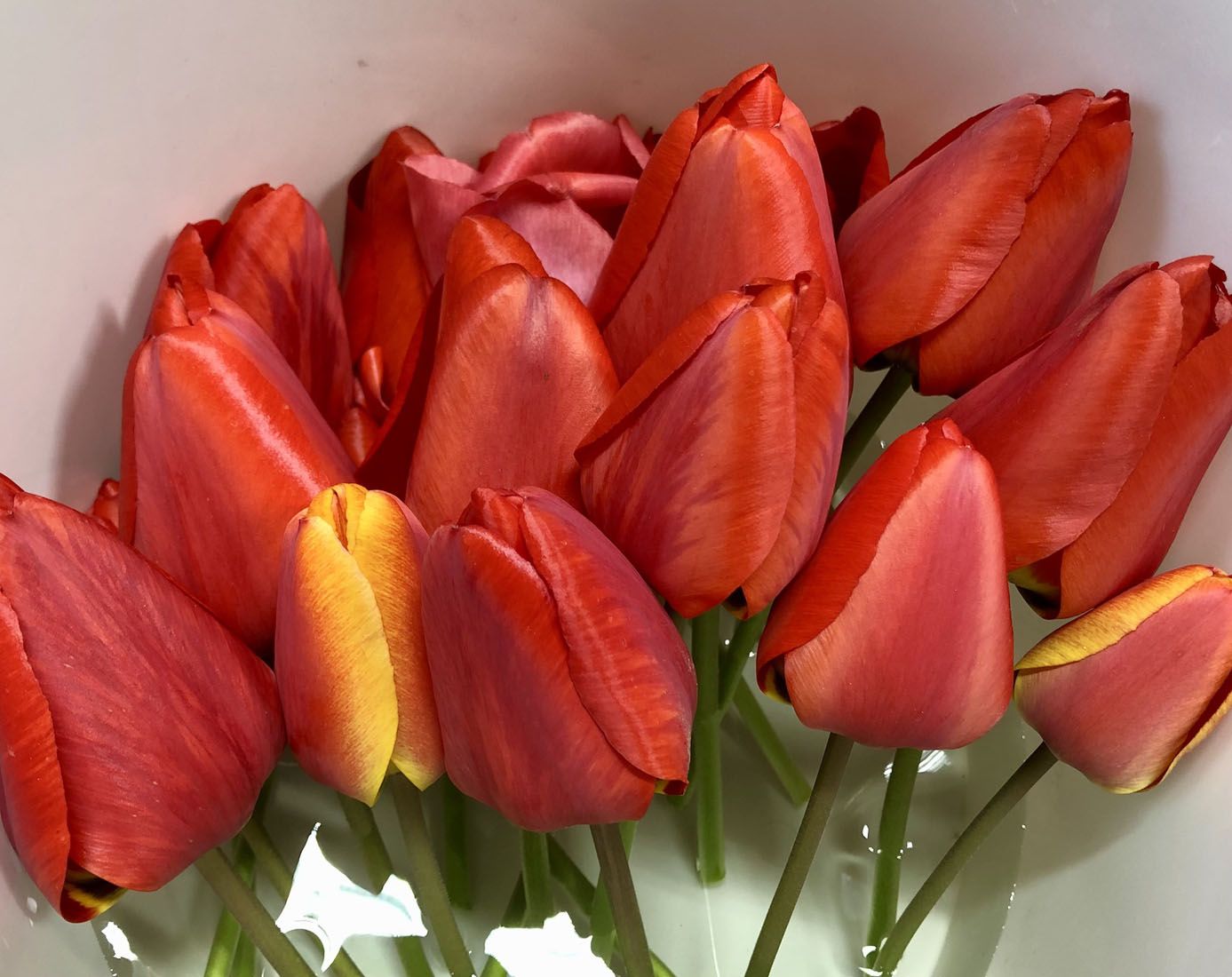 Přírodopis v terénu: učíme se venku