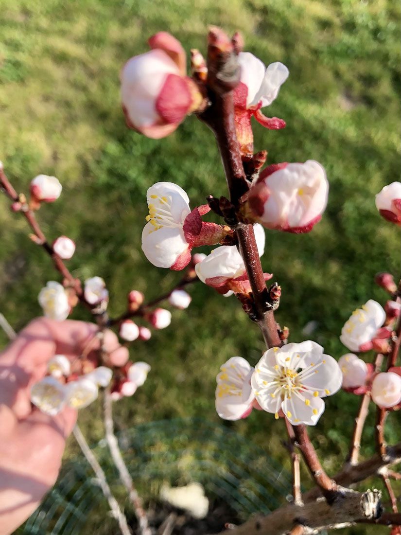 Přírodopis v terénu: učíme se venku