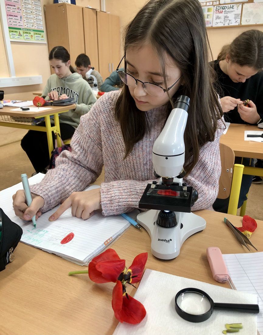 Přírodopis v terénu: učíme se venku