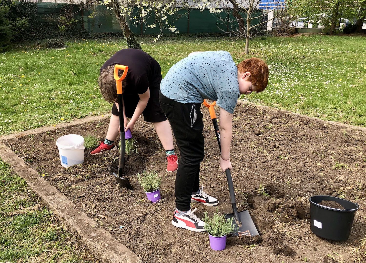 Přírodopis v terénu: učíme se venku