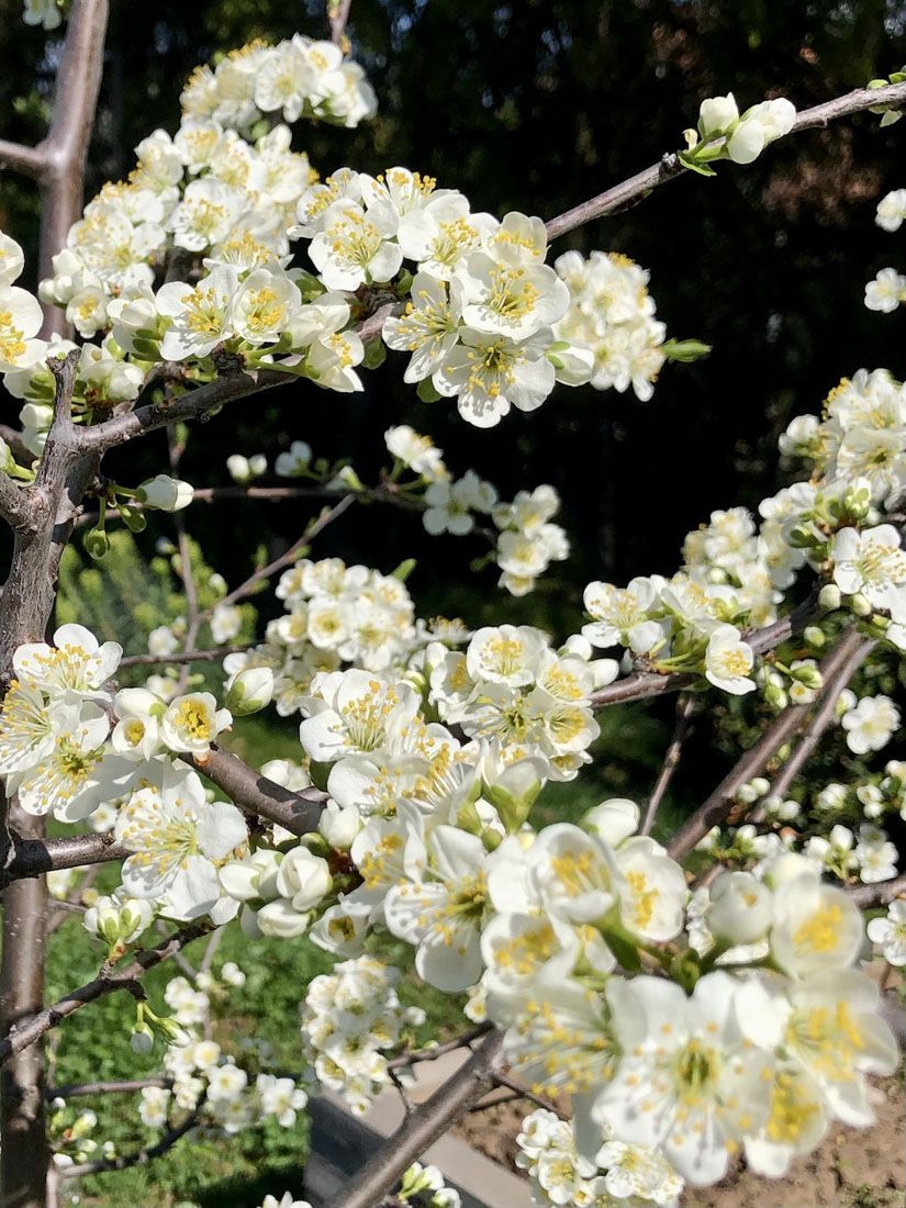 Přírodopis v terénu: učíme se venku