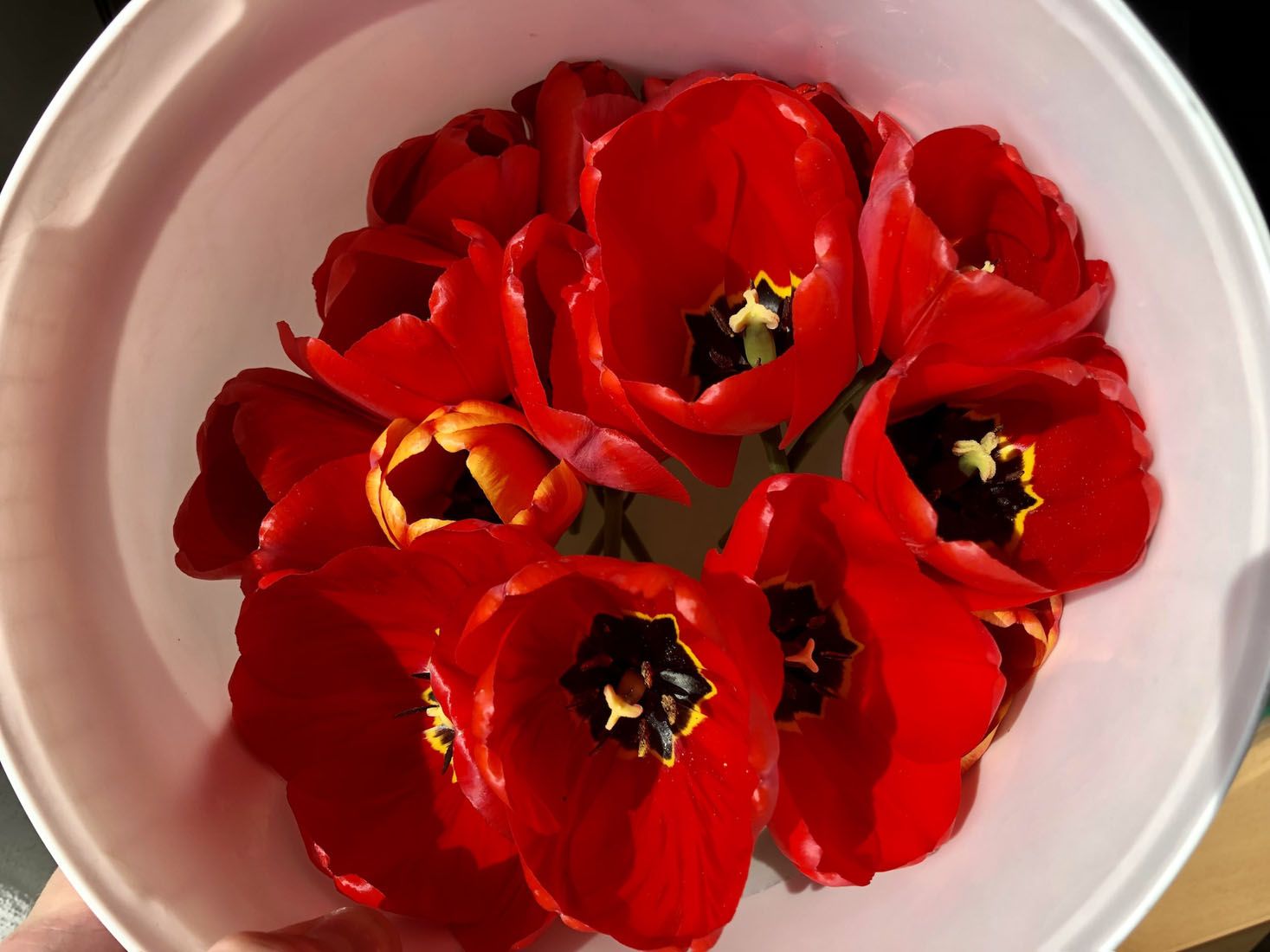 Přírodopis v terénu: učíme se venku